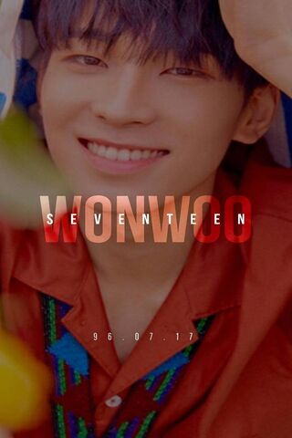 Wonwoo: The Charismatic Heart of SEVENTEEN 💖