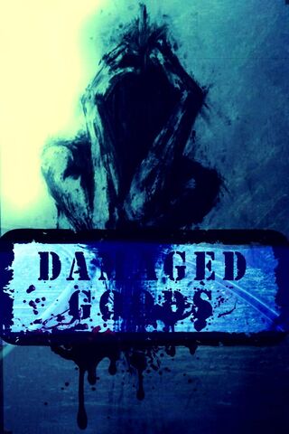 Shattered Reflections