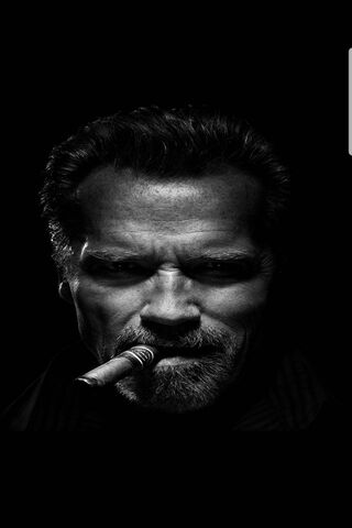 The Iconic Grit of Arnold