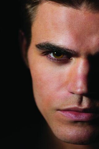 The Enigmatic Charm of Stefan Salvatore 🌌