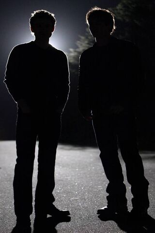 Shadows of Brotherhood: Damon and Stefan