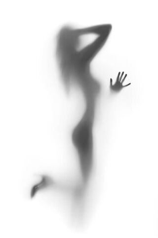 Veiled Essence: The Art..