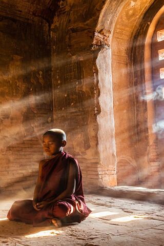 Serenity in Silence: The Small Munk's Reflection
