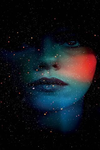 Cosmic Reflections: The..