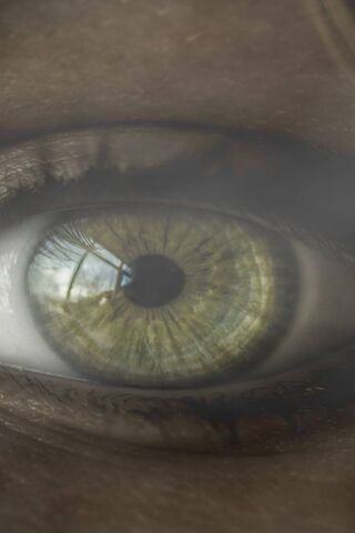 A Glimpse Beyond: The Disabled Eye