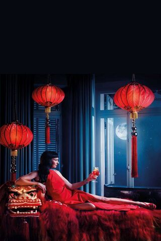 Moonlit Elegance: A Night of Enchantment 🌙✨