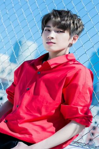 Wonwoo: The Charismatic Star 🌟
