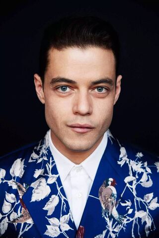 Rami Malek: A Star in Bloom 🌟
