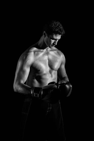 Boxer