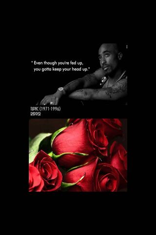 Tupac Shakur Quote Wallpaper Download To Your Mobile From Phoneky