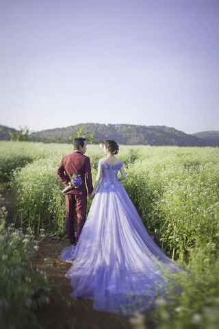 A Love Blossoms in the Fields 🌸💑