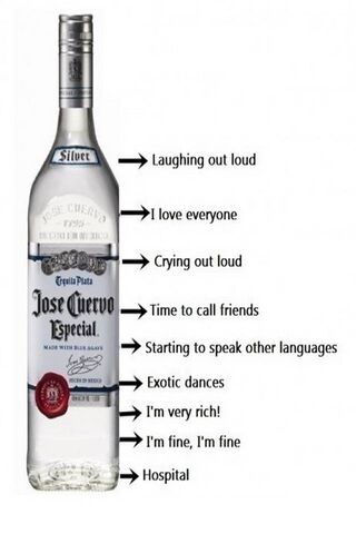 The Journey of Jose Cue..