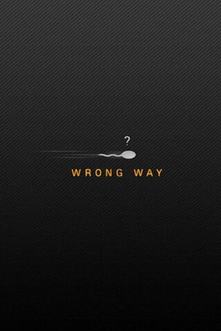 Navigating Life's Twists: The Wrong Way