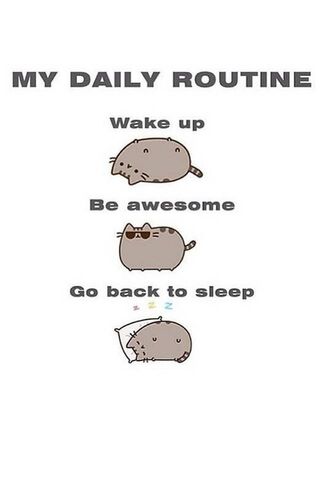 The Purrfect Daily Rout..
