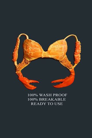Crustacean Chic: The Ultimate Crab Wear! 🦀👙