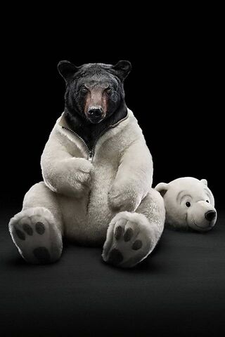 Unmasking the Bear: A P..
