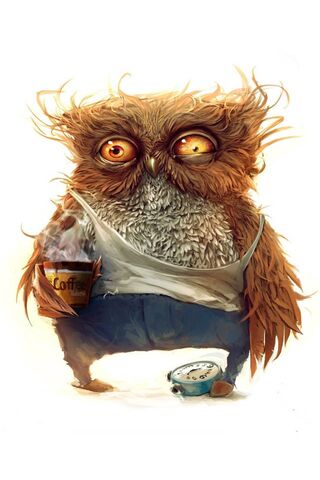 The Sleepy Brewmaster 🦉☕
