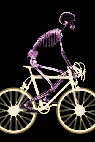 Bone-Breaking Speed: The Skeleto Racin Challenge! 🚴 💀