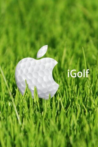iGolf: Where Technology..