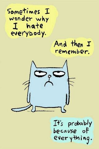 The Cat's Confession: A Mood for Every Day