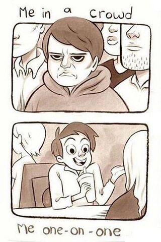 From Chaos to Comfort: The Social Spectrum