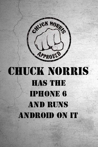 Chuck Norris: The Ultim..