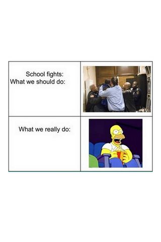 School Fights