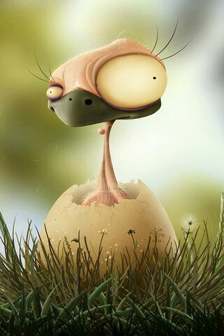 Point Et Bebe Canard Fond D Ecran Telecharger Sur Votre Mobile Depuis Phoneky