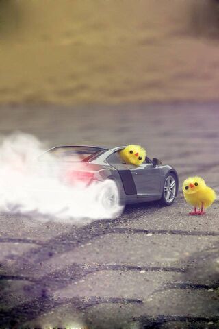 Chicks In Audi