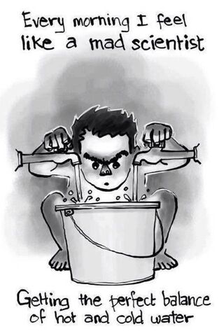 The Morning Experiment:..