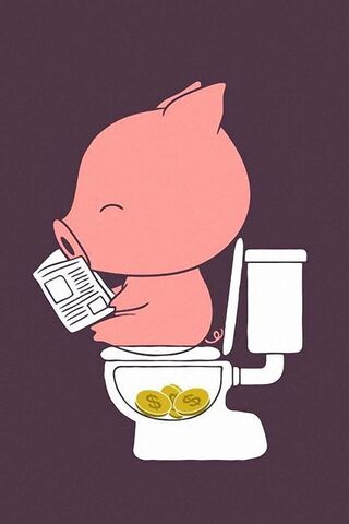 猪在卫生间里