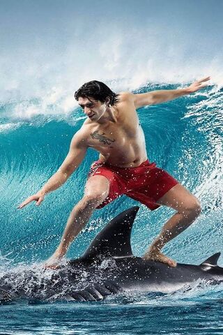 Riding the Wave of Adventure! 🌊🦈