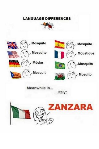 The Global Buzz: Mosquitoes Around the World! 🦟🌍