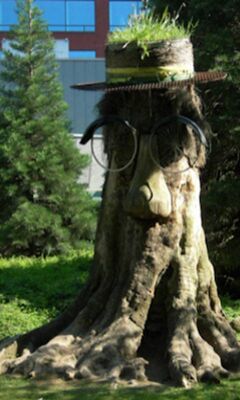 Funny Tree Wallpaper - Download to your mobile from PHONEKY