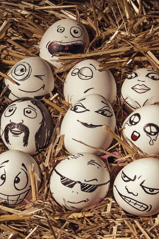 Funny Eggs