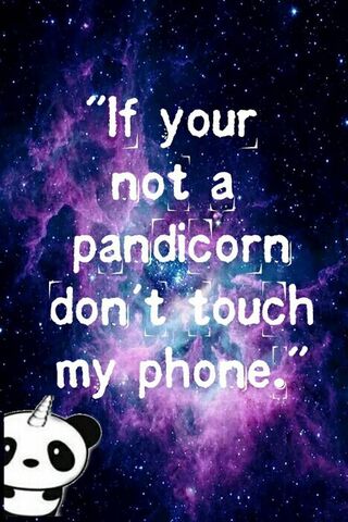 Pandicorn