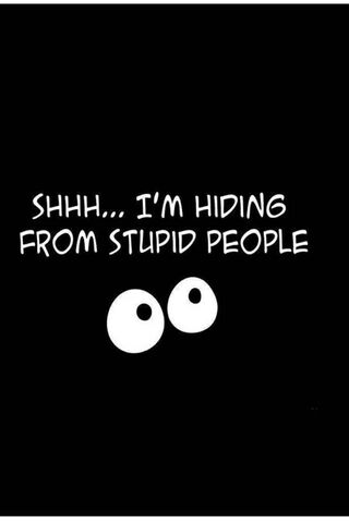 Quietly Observing: A Playful Escape 🤫👀