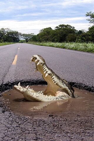 Dangerous Road