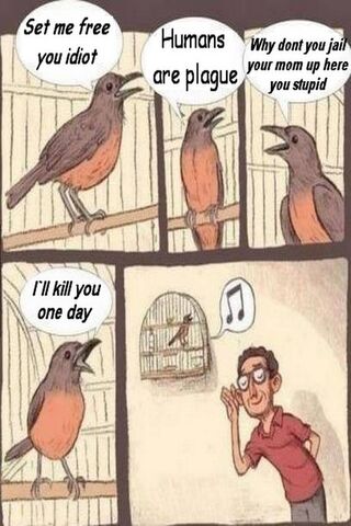 The Feisty Feathered Philosopher 🐦💬