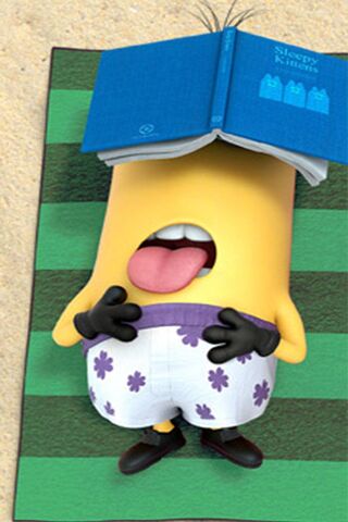 Minion's Lazy Day at th..