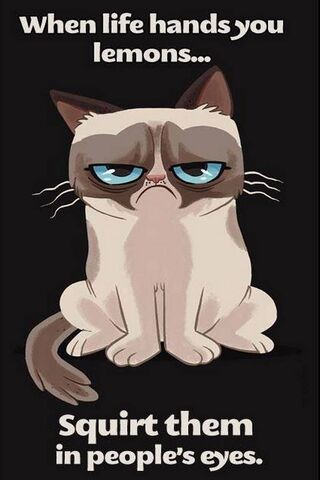 Sour Attitude: A Grumpy Cat's Take on Life 🍋😼