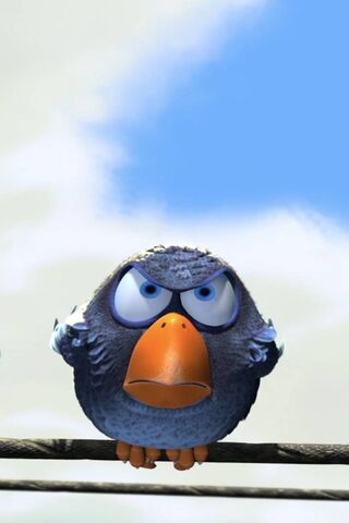 Furious Feathered Friend 🐦💥