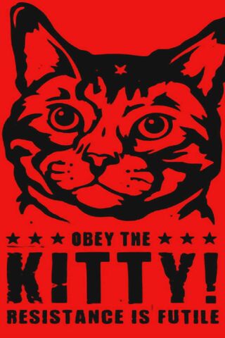 The Purr-fect Command: Follow the Kitty!