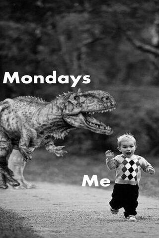 Monday