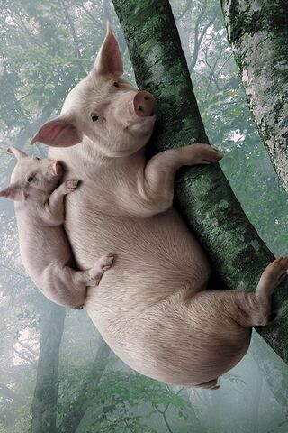 Pigs in a Playful Perch 🐷🌳