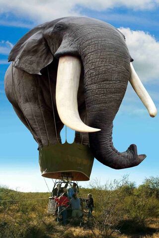 Elephant in the Sky: A Whimsical Adventure! 🐘☁️