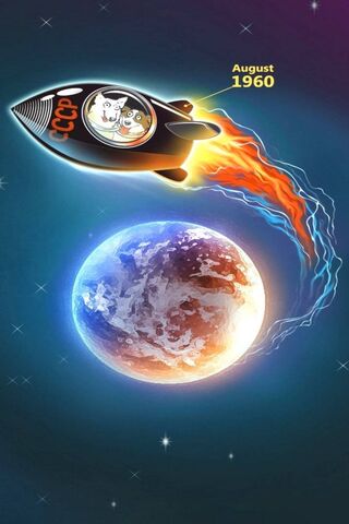 Cosmic Companions: Pets in Space! 🚀🐾