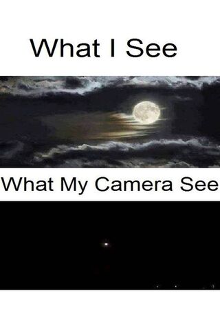 The Night Vision Dilemm..