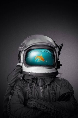 Galactic Goldfish Adven..