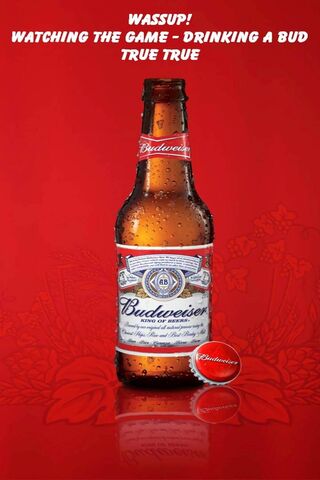 Cheers to Game Day with Budweiser! 🍻🏈